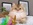 Britisch Langhaar, BLH, Highlander, Romina von den Zauberperlen, black golden ticked tabby, grüne Augen, Zuchtkatze, Rassekatzenzucht, Sachsen Anhalt